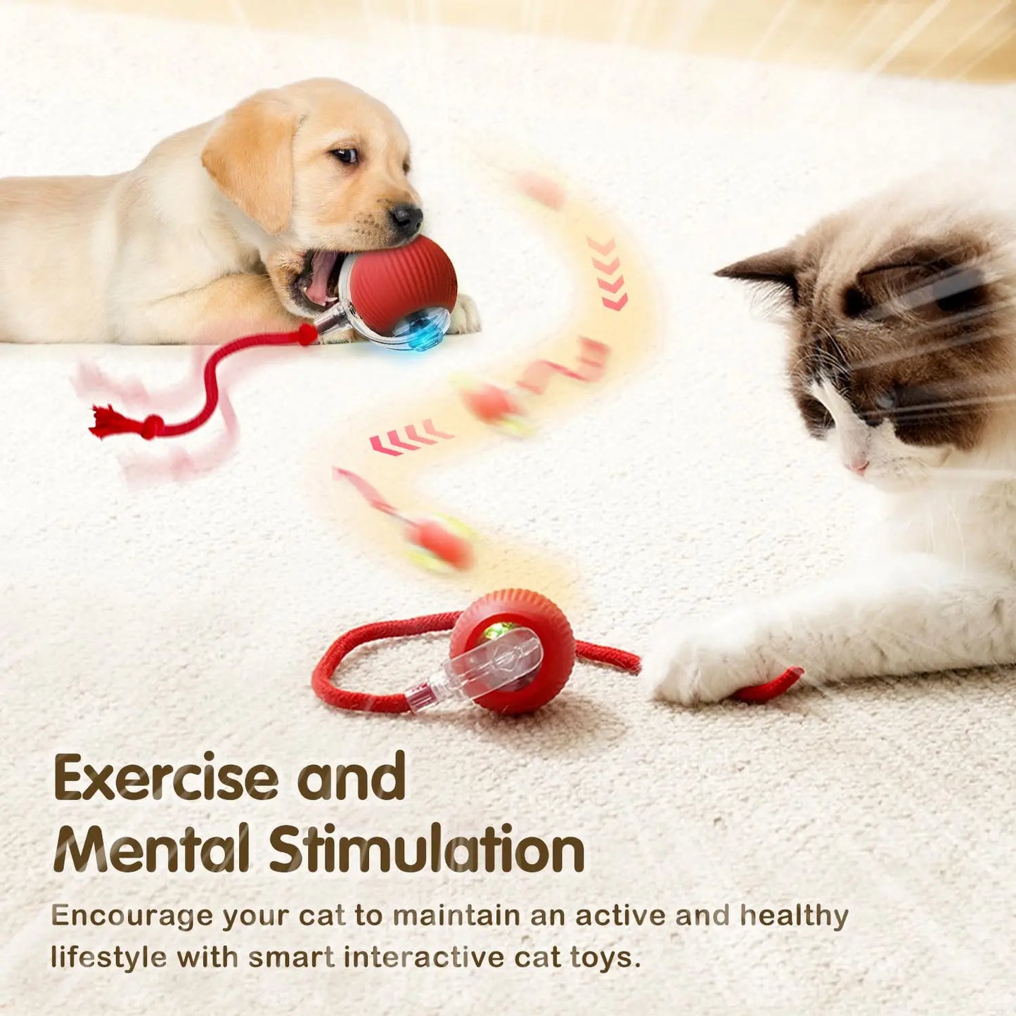 Rechargeable Cat Interactive Ball Toy β Smart Rolling Mouse