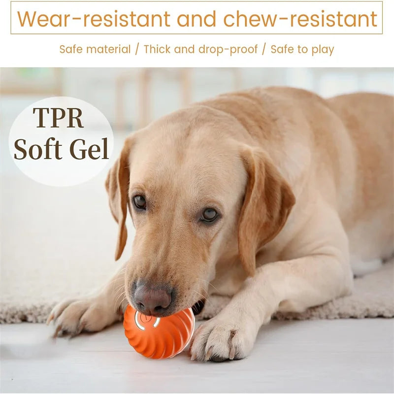 Smart Interactive Pet Toy Ball – USB Rechargeable & Bouncing