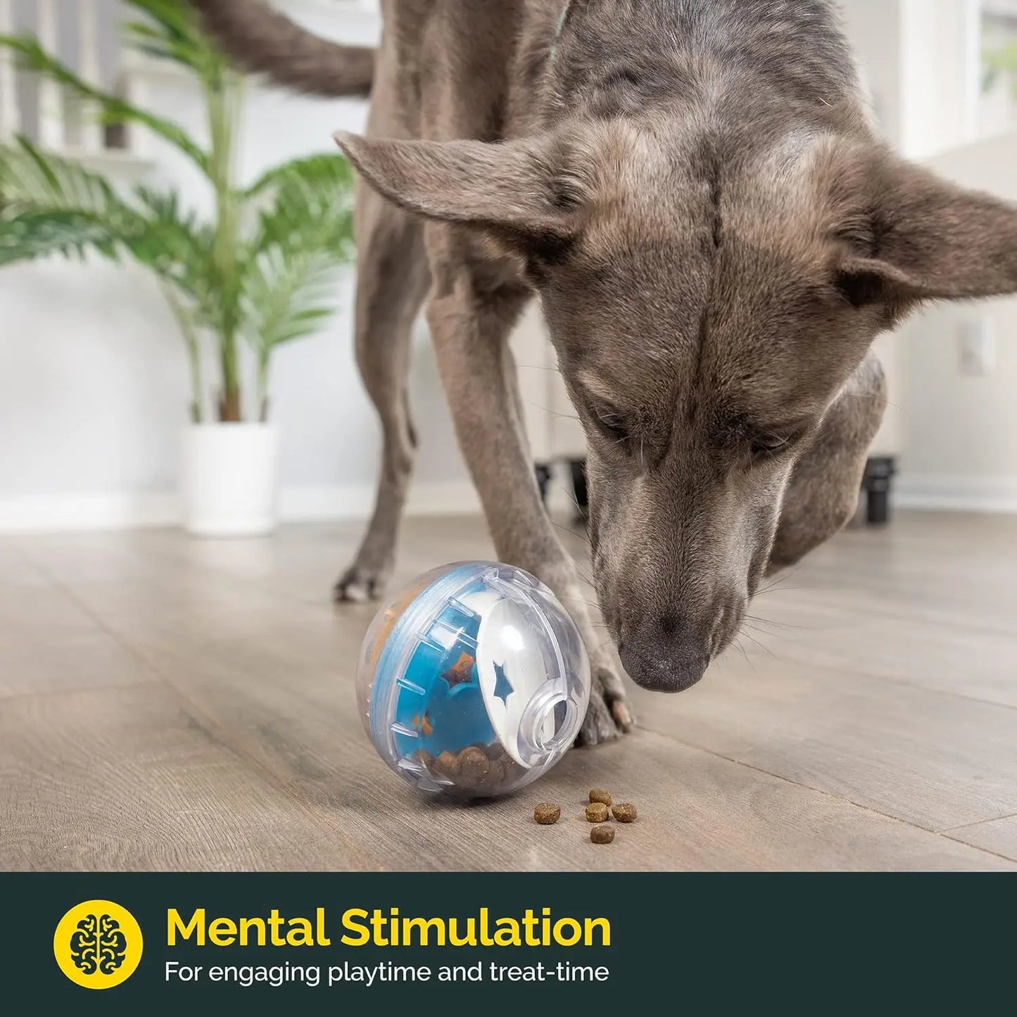 IQ Treat Ball – Interactive Dog Toy & Slow Feeder