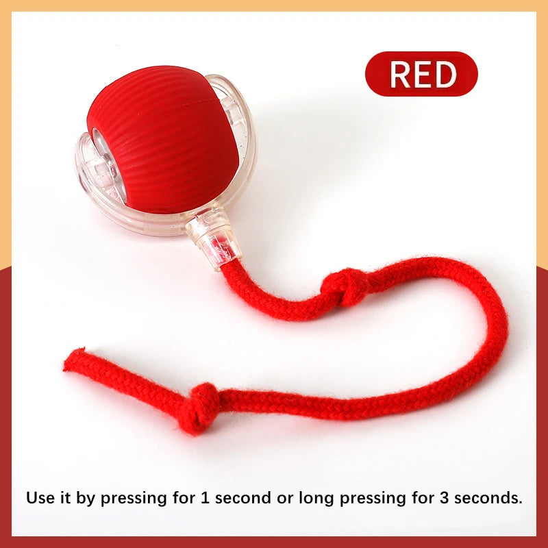 Smart Interactive Pet Toy Ball – USB Rechargeable & Bouncing