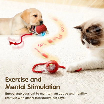 Rechargeable Cat Interactive Ball Toy – Smart Rolling Mouse