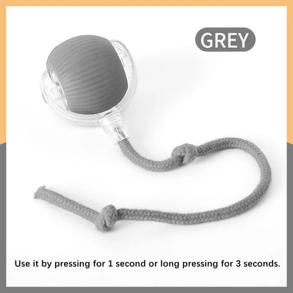 Smart Interactive Pet Toy Ball – USB Rechargeable & Bouncing